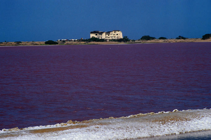 Unusual purple coloured Salina de Cumaraguas on north-eastern coast.