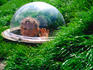 Young boy playing inside rabbit labyrinth at Copenhagen Zoo.