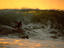 Surfer, Desert Point, Bangko Bangko, Lombok