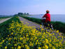 Woman cycling atop polder dike, Netherlands