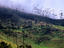 Quindio, Armenia