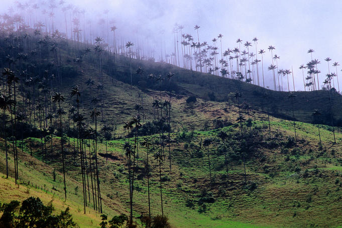 Armenia Quindio