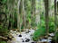 El Gallineral Park, Colombia