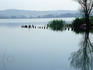 Lake Lago di Chiusi.