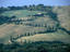 Image_19003-34