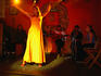 Flamenco group at Palenque Club.