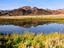 Lagoon, Baja California