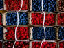 Overhead of punnets of berries, Jean Talon Market.