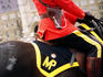 Mounted police on Parliament Hill