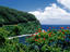Image_19043-17