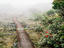Image_19043-90