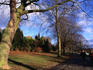 A stroll through Roundhay Park on a sunny winter's day, Leeds