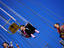 Image_19075-1