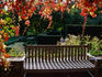 Bench and autumn leaves at Musee David et Alice Van Buuren (museum), Uccle.