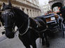 Tourists and coachman in coach going on ride through streets of Brussels - Caleches Carlos Moens-Stassens.