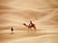 Rajasthani man with camel, Jaisalmer