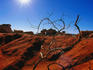 Arid landscape at Gantheaume Point.