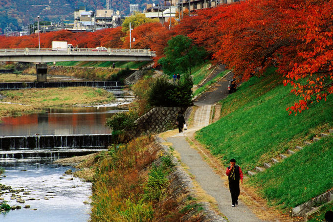 People walking past trees in autumn colours along the Takano river.
