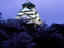 Osaka castle with cherry blossoms, Osaka