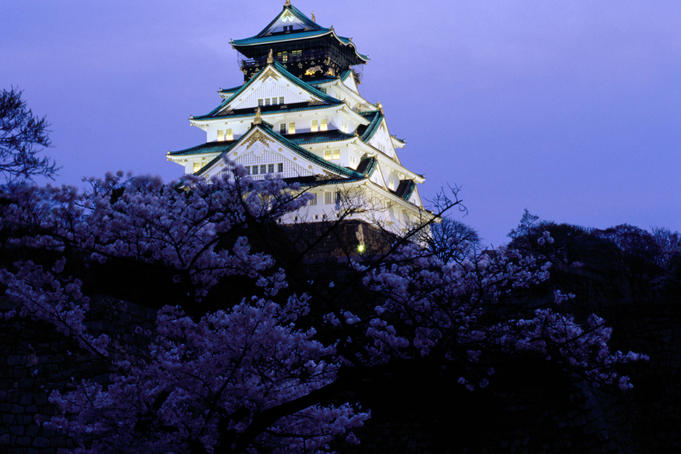 Osaka castle lit up at night, with cherry blossoms in the foreground.