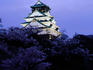 Osaka castle lit up at night, with cherry blossoms in the foreground.