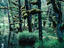 Naikoon Provincial Park, Haida Gwaii