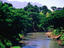Image_19203-8