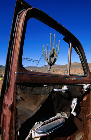 Cactus seen through window of wrecked car, Transpeninsular Highway (Hwy 1).
