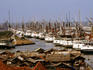 Sunda Kelapa port.