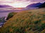Image_19226-28