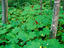 Image_19226-6