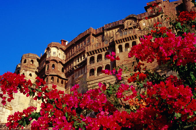 Meherangarh fort with pink flowers in foreground.