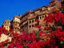 Meherangarh fort with pink flowers in foreground.