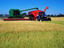 Harvest, New South Wales