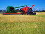 Tractor pulling a storage hopper alongside a combine harvester in rice field at harvest time.