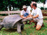 Giant tortoises and conservationists.