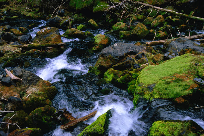 Rocks in a small tributary between the lakes.