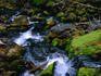 Rocks in a small tributary between the lakes.