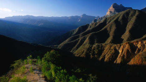 Image_19332-10