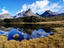Image_19375-5