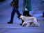 Image_19398-6