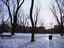 Image_19398-66