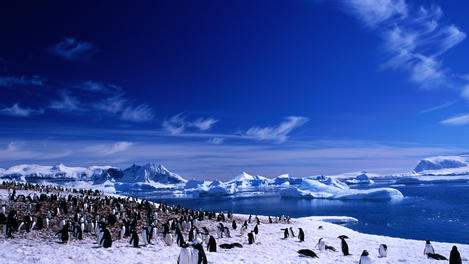 Image_19406-24