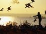 Man feeding gulls, Golden Gardens Park.