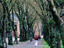 University of Washington, Seattle