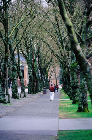 People walking down Memorial Way at the University of Washington.