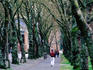 People walking down Memorial Way at the University of Washington.