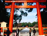 Red painted Shinto Tori at Kamigamo Shrine.