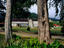 Image_19505-34