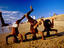 Boy performing handstands on Galle Face Beach.